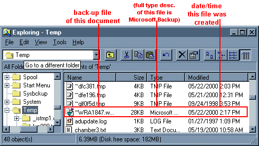 Henry County Web Example 2