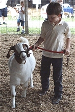 Henry County Harvest Showcase